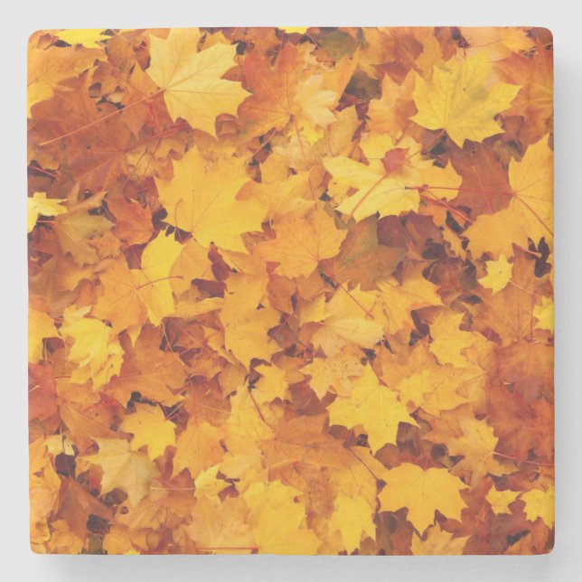 Autumn Leaves Stone Coaster (Front)