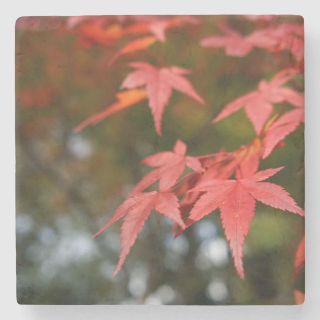 Autumn Leaves Stone Coaster (Front)