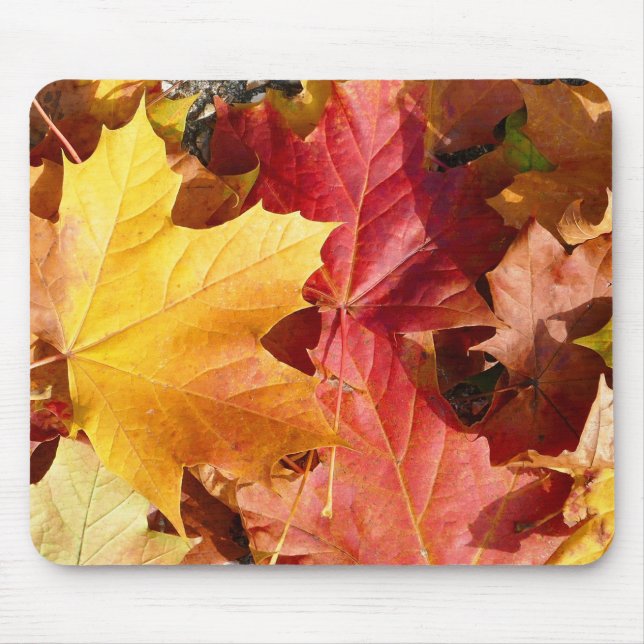Autumn leaves - Stunning! Mouse Pad (Front)