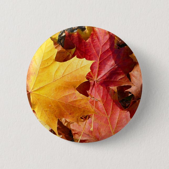 Autumn leaves - Stunning! Pinback Button (Front)