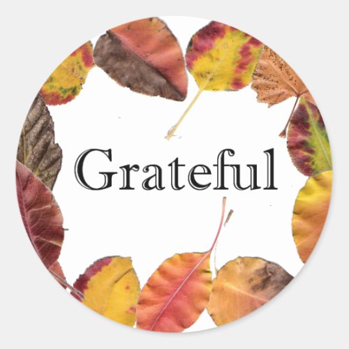 Autumn Leaves Surround Grateful Typography Classic Round Sticker