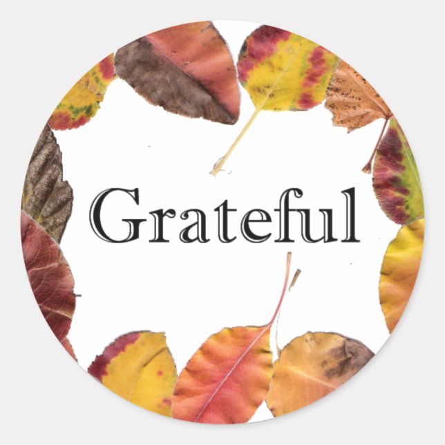Autumn Leaves Surround Grateful Typography Classic Round Sticker (Front)