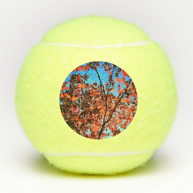 Autumn leaves tennis balls (Front)