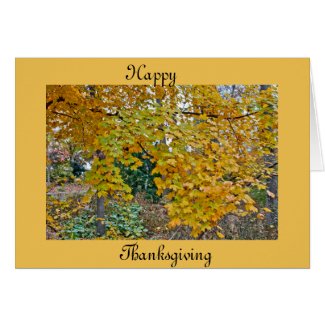 Autumn Leaves Thanksgiving Card