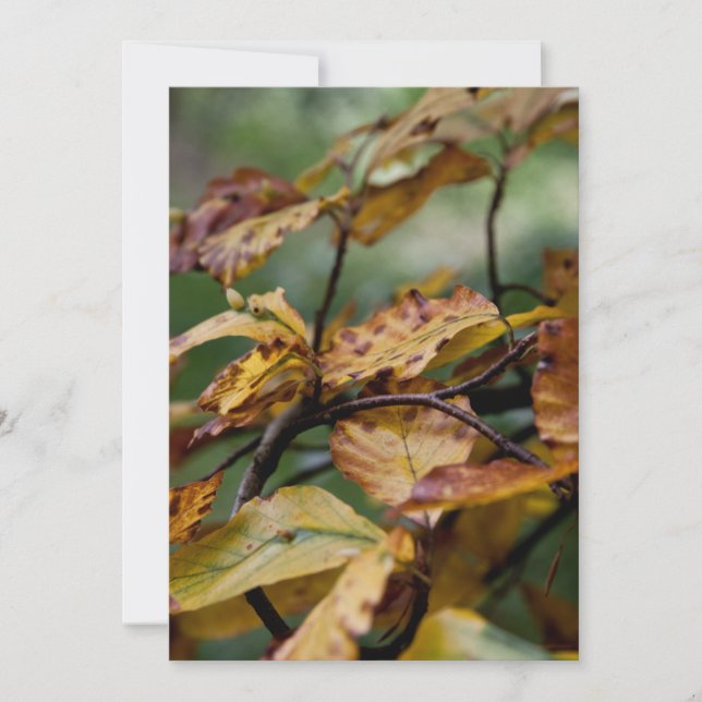 Autumn leaves thanksgiving invitation (Front)