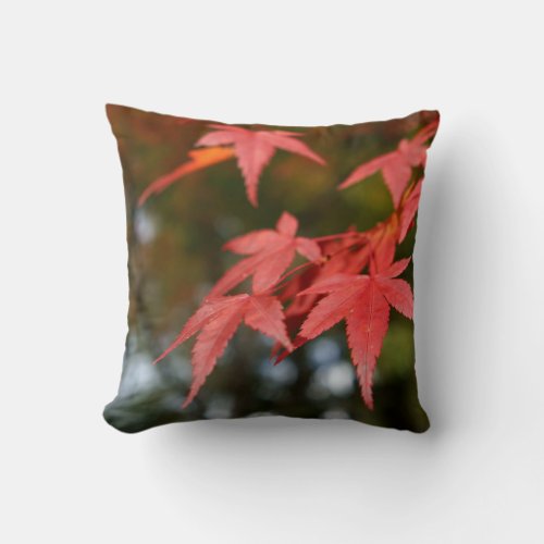 Autumn Leaves Throw Pillow