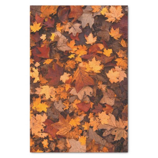 Autumn Leaves Tissue Paper | Zazzle