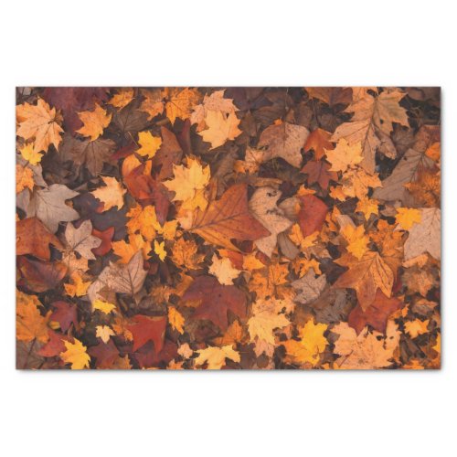 Autumn Leaves Tissue Paper