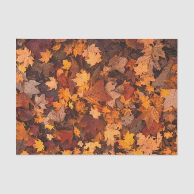 Autumn Leaves Tissue Paper (Front)
