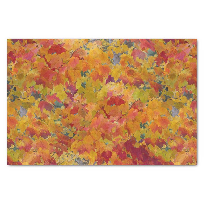 Autumn Leaves Tissue Paper | Zazzle.com