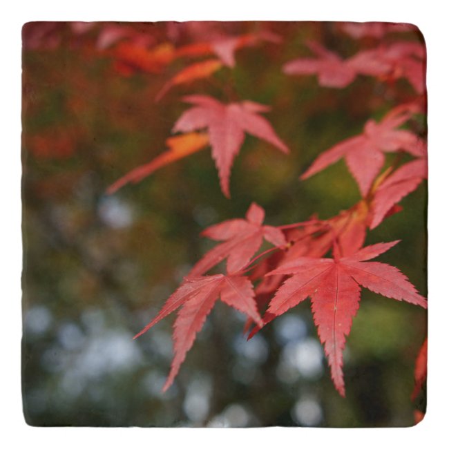 Autumn Leaves Trivet