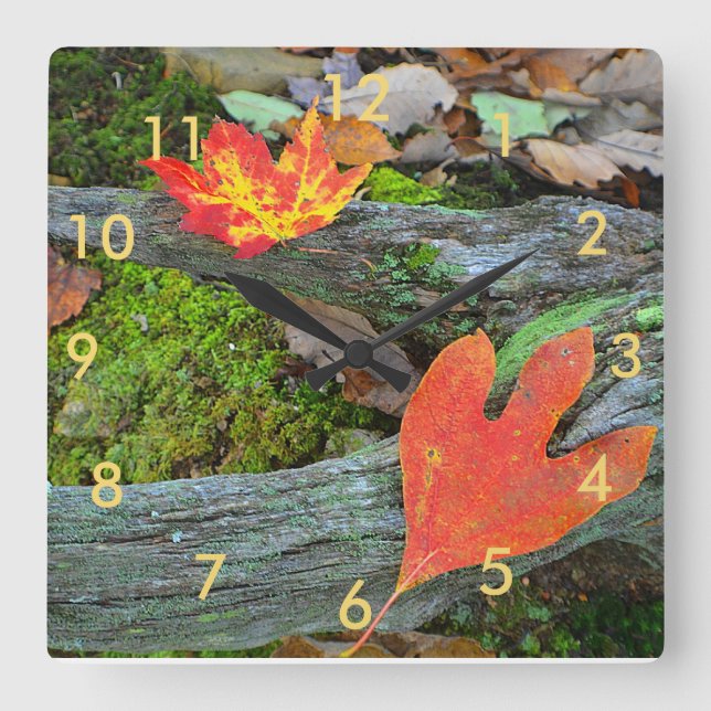 Autumn Leaves Wall Clock (Front)