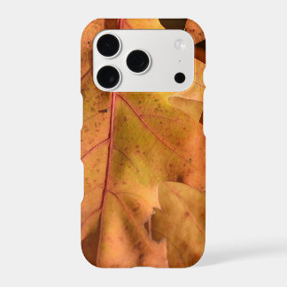Autumn Leaves Warm Colors iPhone 17 Pro Case