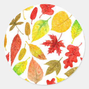 Autumn leaves watercolor white classic round sticker