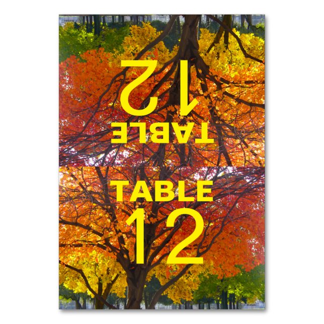 Autumn Leaves Wedding Folded Table Card (Front)