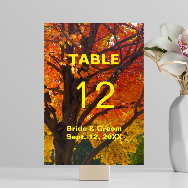Autumn Leaves Wedding Table Card (Autumn Leaves Wedding Table Card)