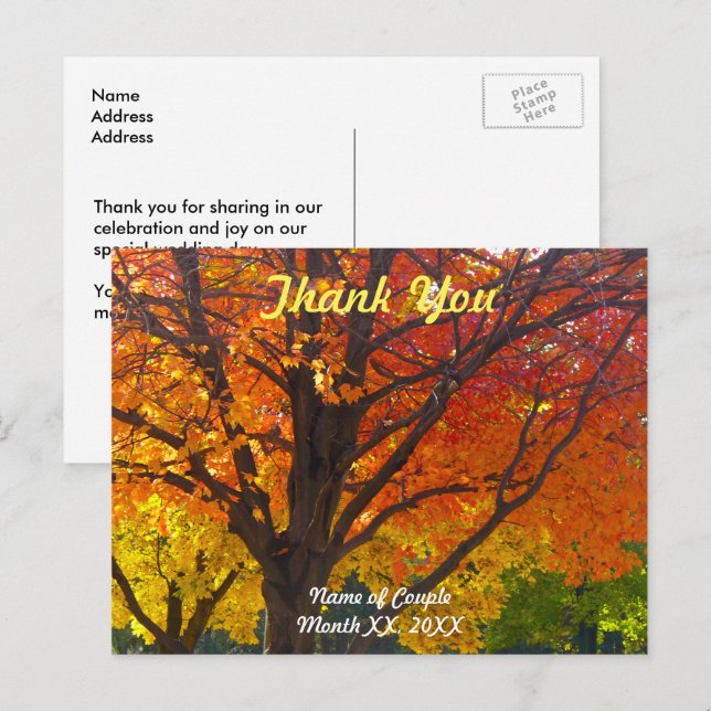 Autumn Leaves Wedding Thank You Postcard (Front/Back)