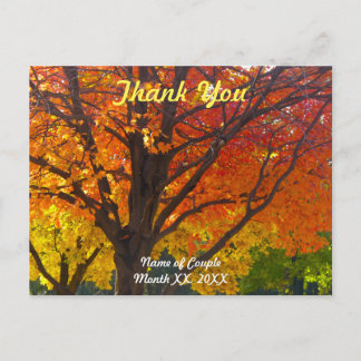 Autumn Leaves Wedding Thank You Postcard