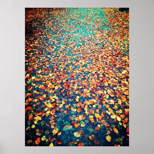 Autumn Leaves Wet Forest Path Poster