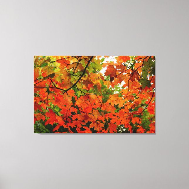 Autumn Leaves Wrapped Canvas Print (Front)