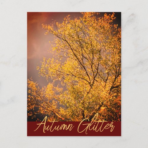 Autumn Light Glitters Postcard