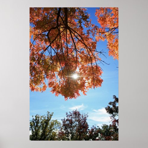 Autumn Light Poster