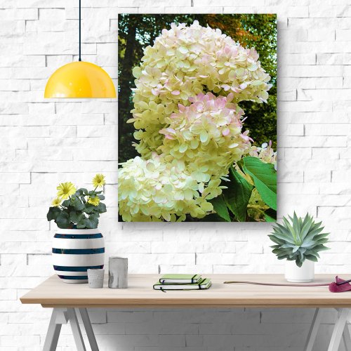 Autumn Limelight Hydrangea Flowers Acrylic Print