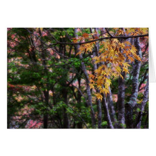 Autumn Love Card (Front Horizontal)