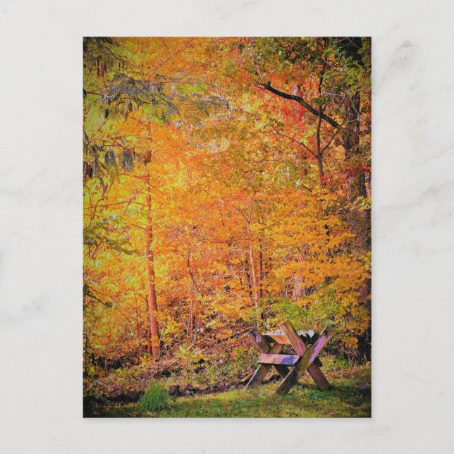 Autumn Magic Postcard (Front)