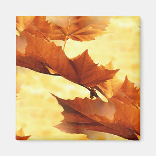 Autumn Magnet