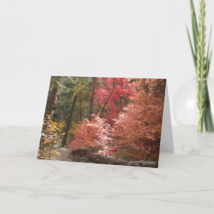 Autumn Majesty (3) Greeting Cards
