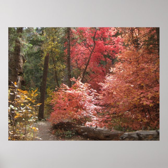 Autumn Majesty (3) Poster (Front)