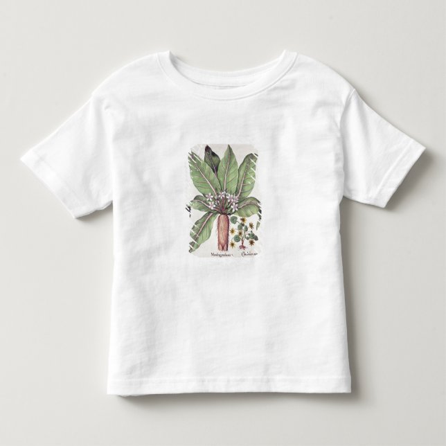 Autumn Mandrake, from the 'Hortus Eystettensis' by Toddler T-shirt (Front)