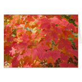 Autumn Maple card (Front Horizontal)