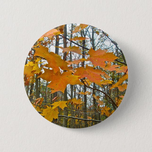 Autumn Maple Foliage Pinback Button (Front)