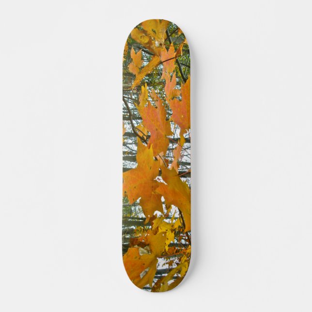 Autumn Maple Foliage Skateboard Deck (Front)