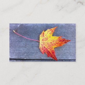 Autumn Maple Leaf Business Card by TerryBainPhoto at Zazzle