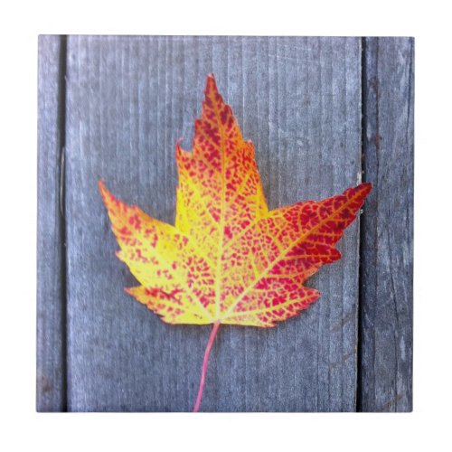 Autumn Maple Leaf Ceramic Tile