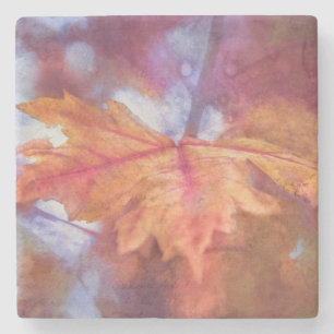 Autumn Maple Leaf Photo Art Stone Coaster