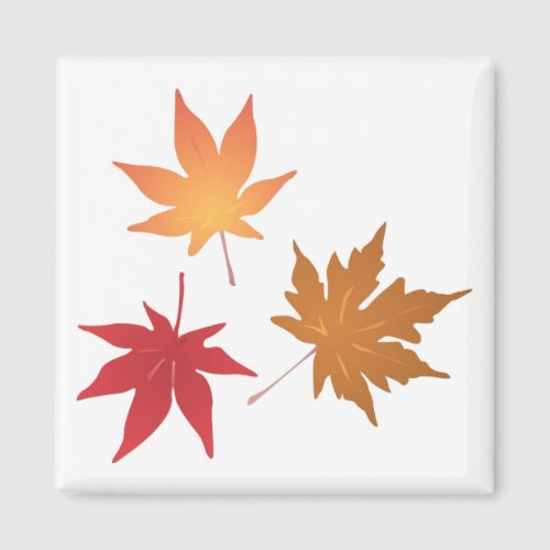 Autumn Maple Leaves Collection Magnet