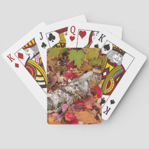 Autumn Maple Leaves Cover Birch Bark On Forest Poker Cards