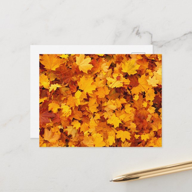 Autumn Maple Leaves Postcard (Front/Back In Situ)