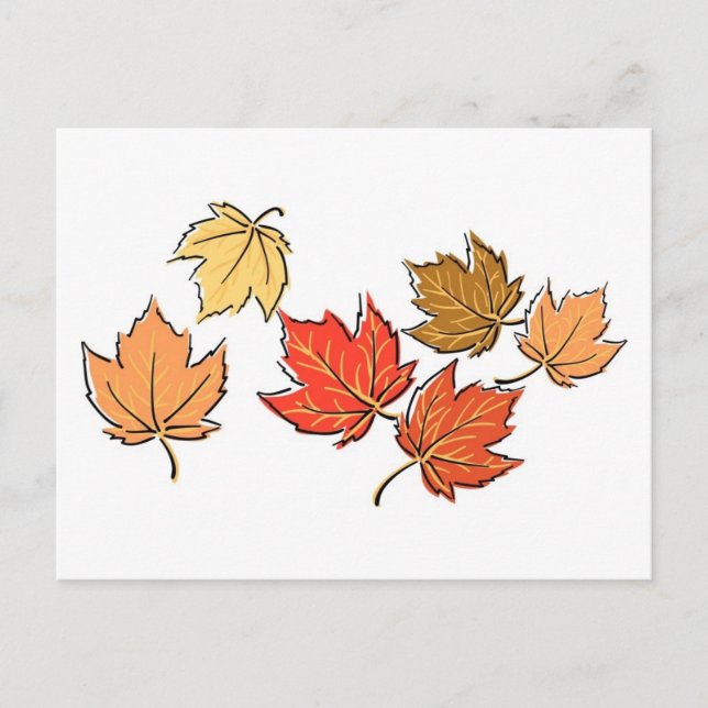 Autumn Maple Leaves Postcard (Front)