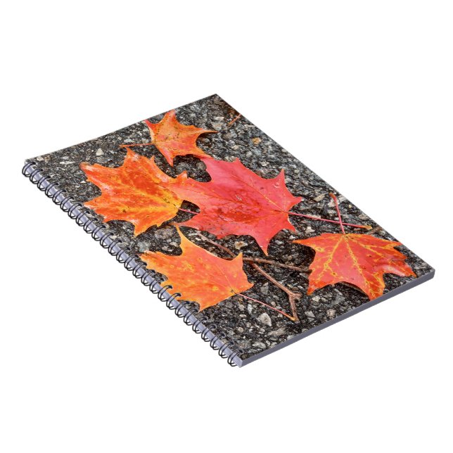 Autumn Maple Leaves Spiral Notebook (Right Side)