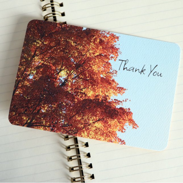 Autumn Maple Leaves Thank You Card (Creator Uploaded)