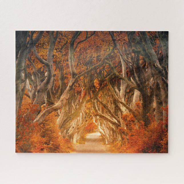 Autumn maple tree forest fall woods foliage jigsaw puzzle (Horizontal)