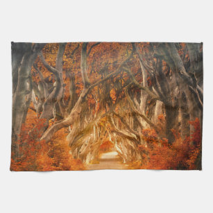 Autumn maple tree forest fall woods foliage kitchen towel