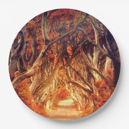 Autumn maple tree forest fall woods foliage  paper plates