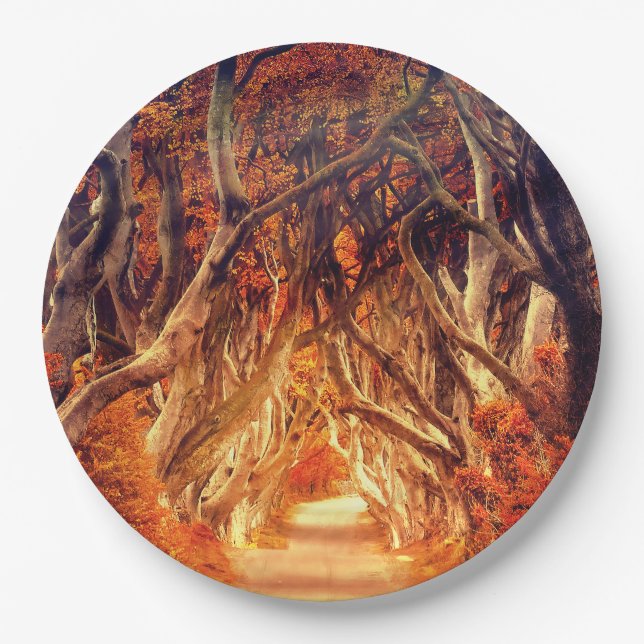 Autumn maple tree forest fall woods foliage  paper plates (Front)