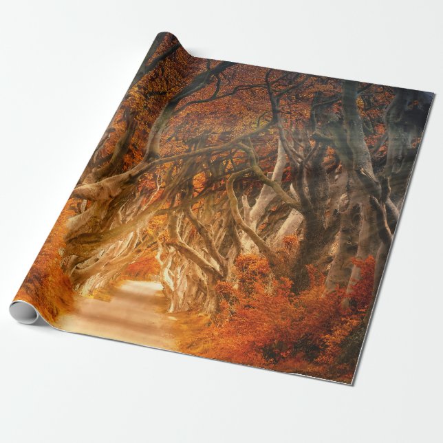 Autumn maple tree forest fall woods foliage wrapping paper (Unrolled)